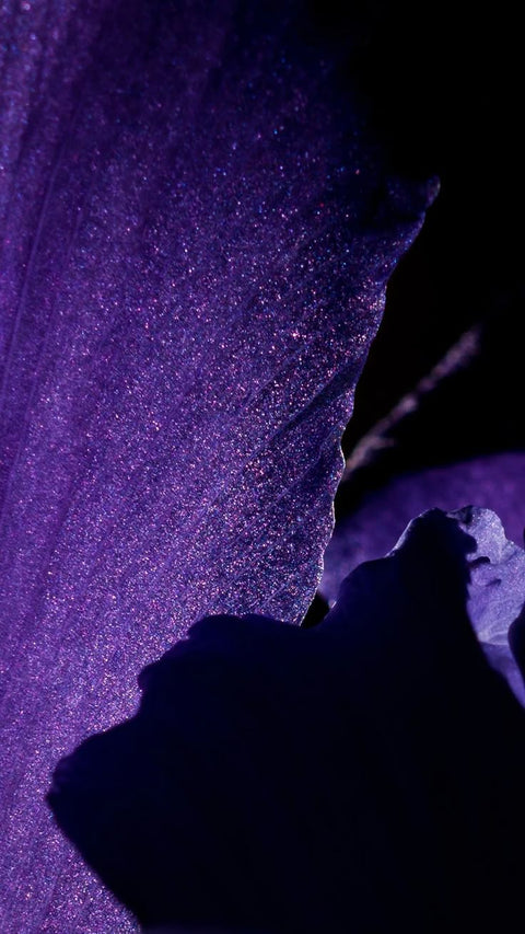 Bergamot & lavender